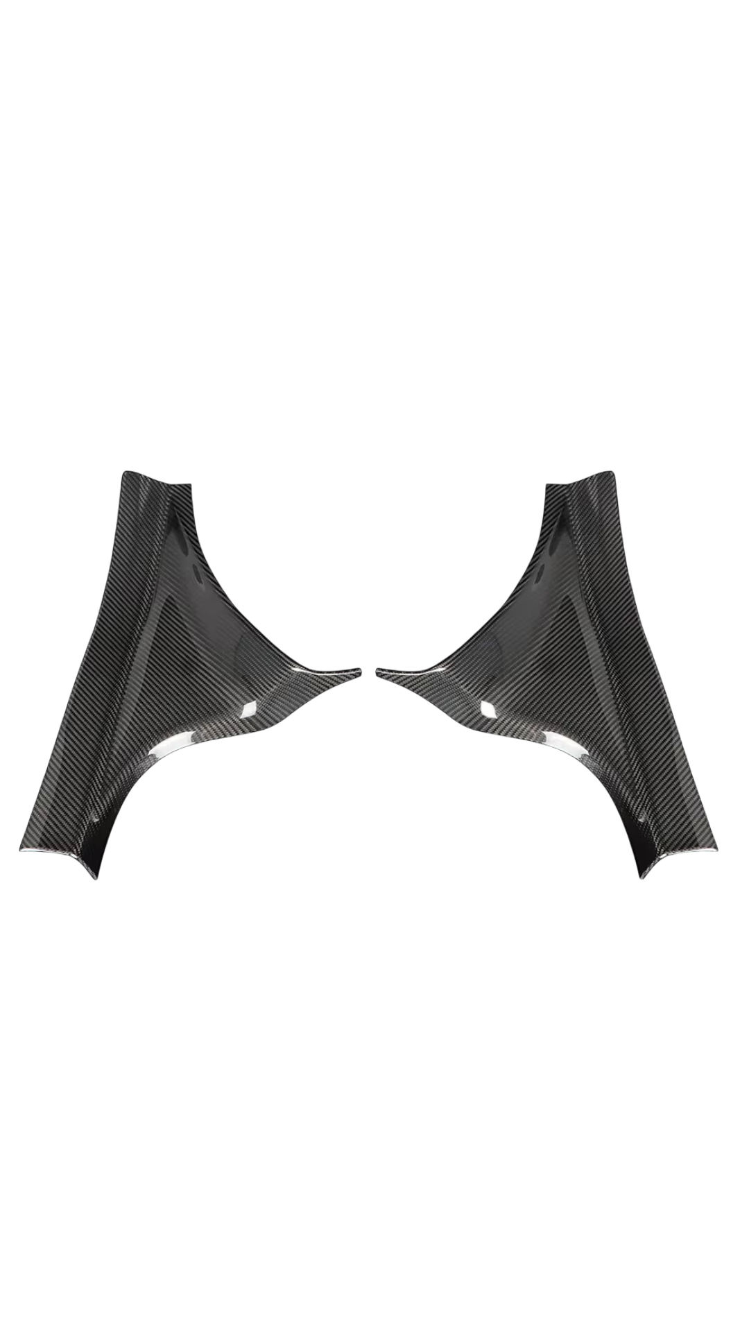 Carbon Rear Door Sill Trim Civic FL5 Type R 22+