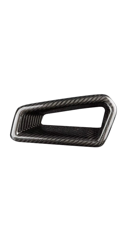 Carbon Front Seat Trim Civic FL5 Type R 22+