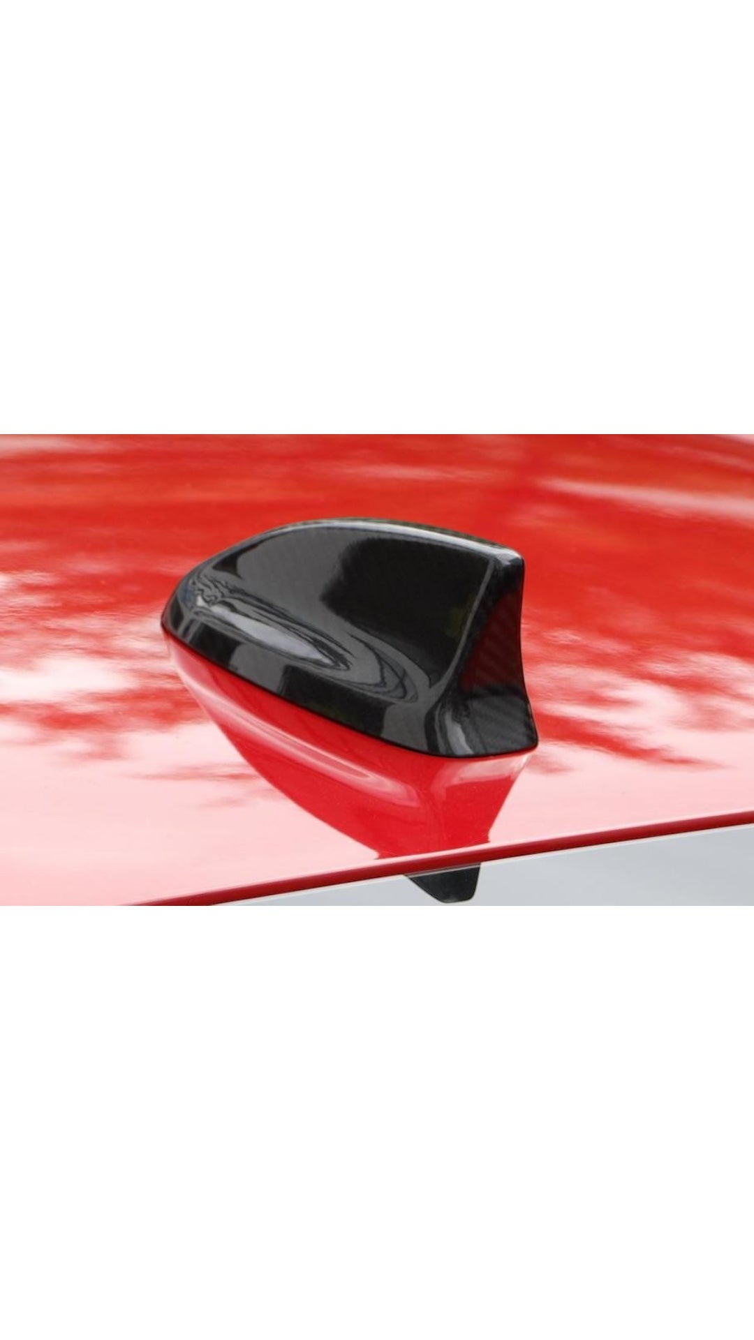 Carbon Antenna Civic FL5 Type R 22+