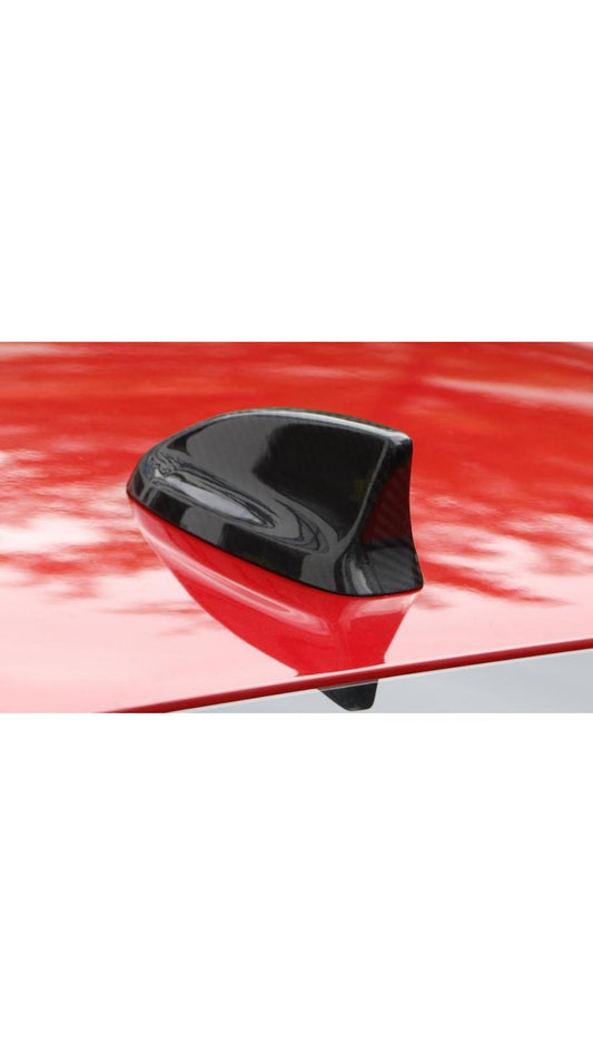 Carbon Antenna Civic FL5 Type R 22+